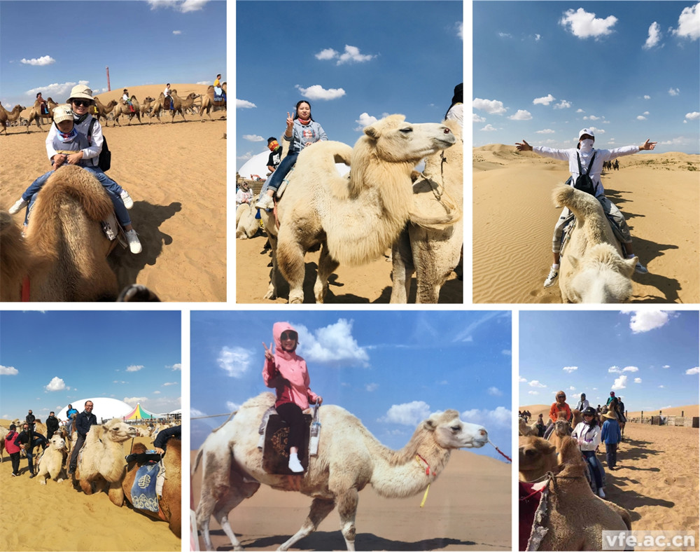 騎著駱駝走沙漠，不要太穿越