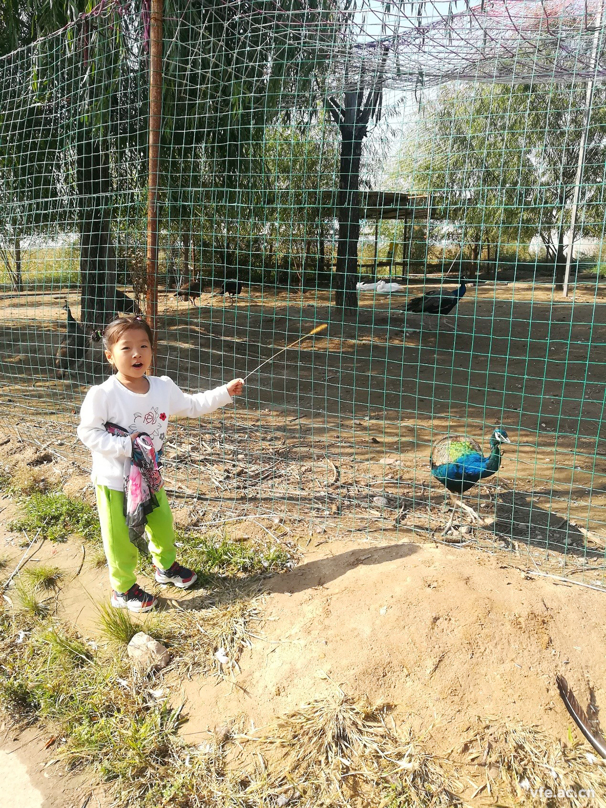 內(nèi)蒙之行，難忘之旅