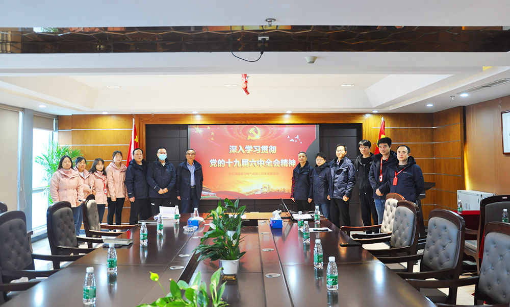 銀河電氣黨支部開(kāi)展2021年黨日系列活動(dòng)