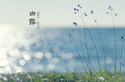 白露降，秋意濃