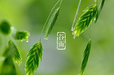 谷雨，播種希望