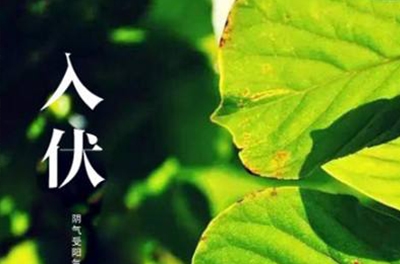 入伏在即，酷暑將至