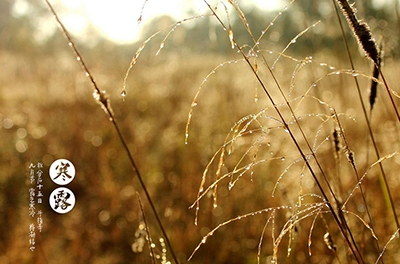 寒露已至，注意添衣防寒