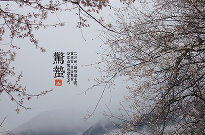 春雷起，驚蟄出